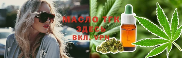 индика Бронницы