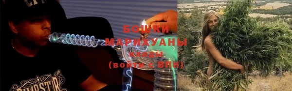 индика Бронницы