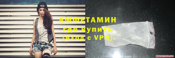 индика Бронницы
