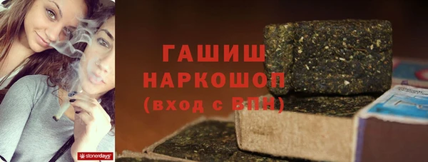 индика Бронницы
