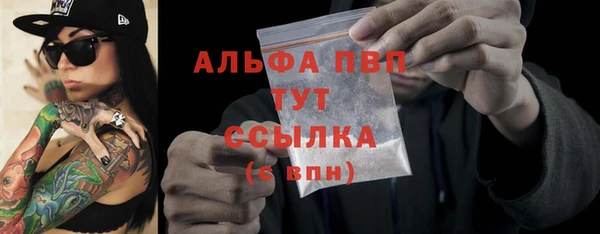 mdpv Бородино