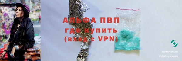 индика Бронницы