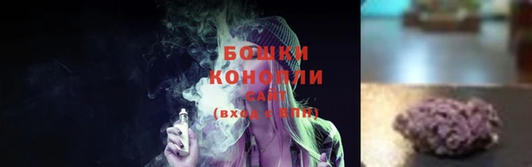 mdpv Бородино