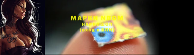 индика Бронницы