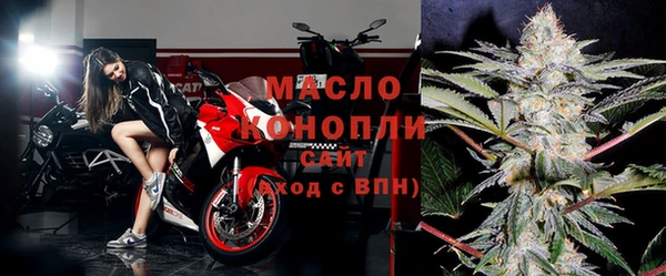 индика Бронницы