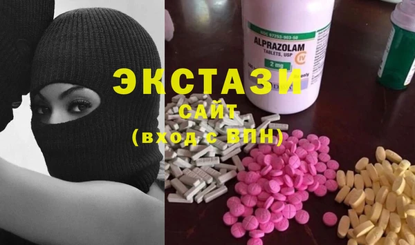индика Бронницы