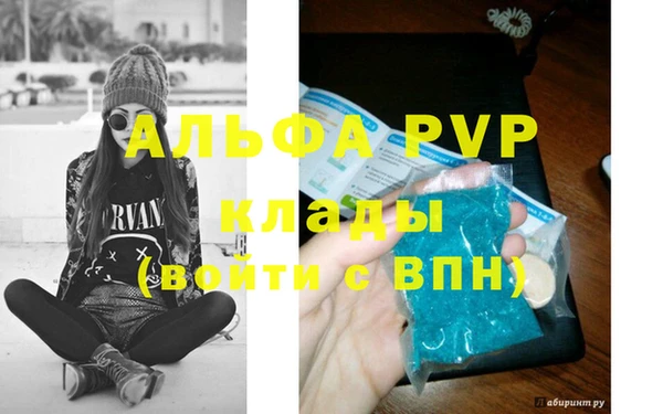 индика Бронницы