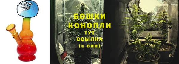 2c-b Богородицк